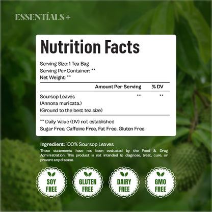 Organic Soursop Tea Bags - 50 Count