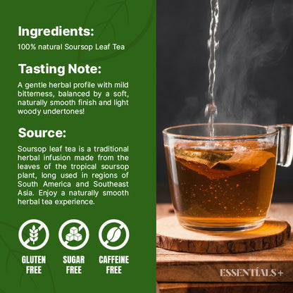 Organic Soursop Tea Bags - 50 Count