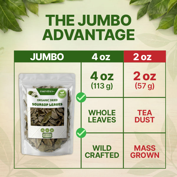 Natural Dried Soursop Leaves Tea - 4 oz