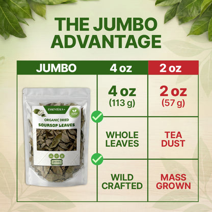 Natural Dried Soursop Leaves Tea - 4 oz