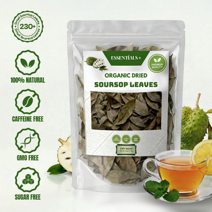 Natural Dried Soursop Leaves Tea - 4 oz