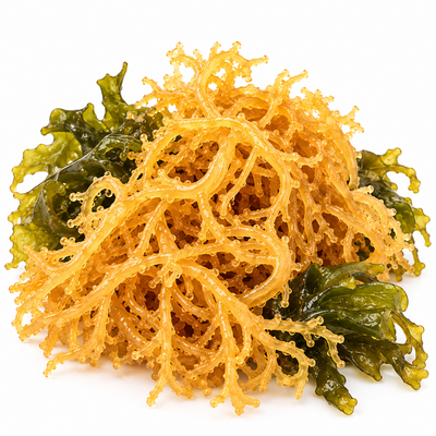 Sea Moss